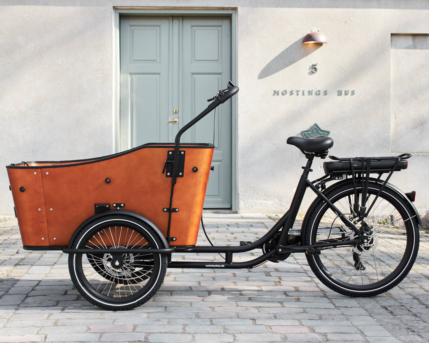AmCargoBikes Ultimate Harmony Electric Bike