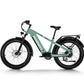 Himiway D5 Zebra 2024 Electric Bike