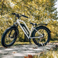 Himiway D3 Cruiser Electric Bike - Step Through